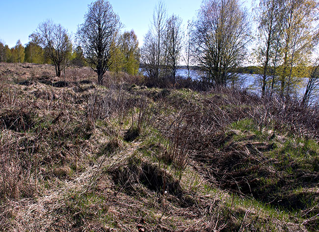 #30 - Old trenches