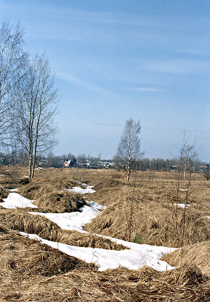 #11 - Battle-field