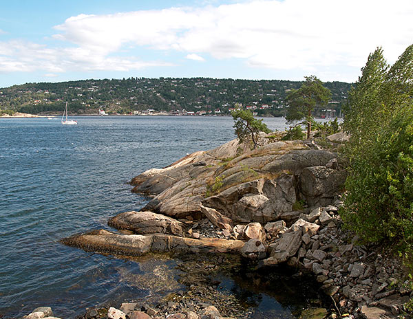 #17 - Kaholmen's nature
