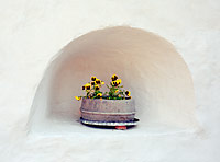 Амбразура с цветочками в Печорском монастыре