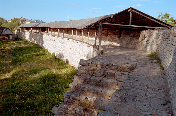 #9 - Wall along Shelonj river