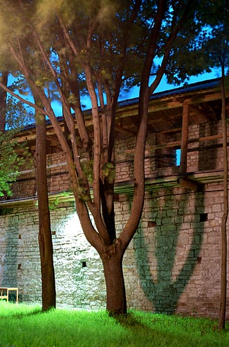 #10 - Walls