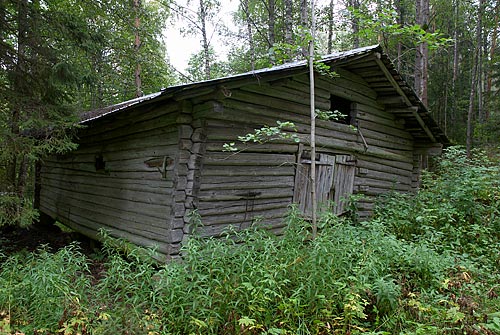 #24 - Сар. неж.