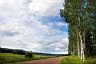 #21 - Peaceful Finnish landscape
