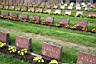 #35 - Военное кладбище