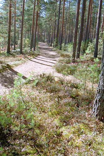 #7 - Парк