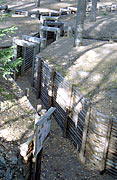 Field entrenchments  of Salpa line