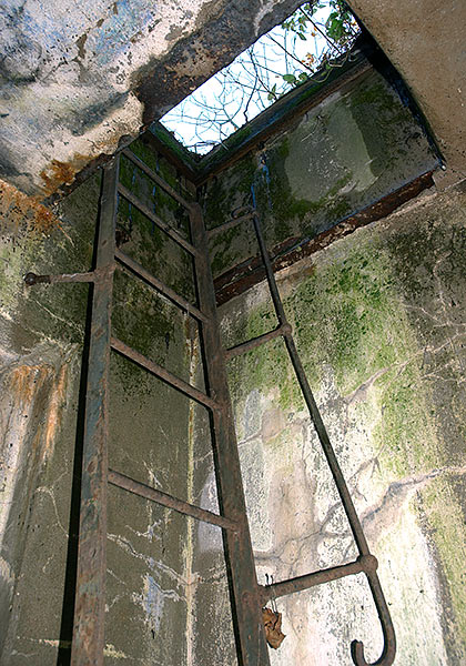 Лестница на второй этаж - Южные Форты