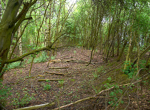 Lunette 'General Dehn' - Southern Forts