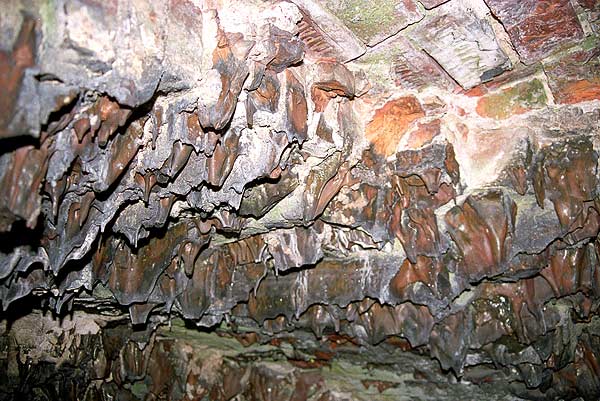 #24 - Melted bricks