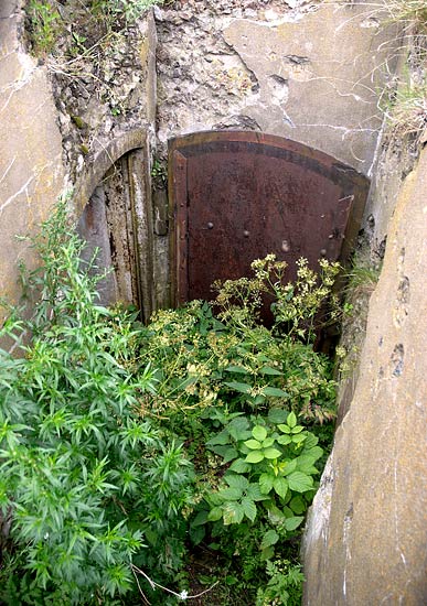 #40 - Fort's jungle