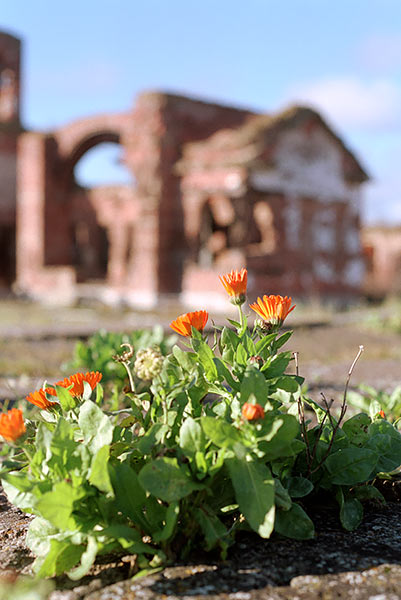 Still life of the fortress - Shlisselburg