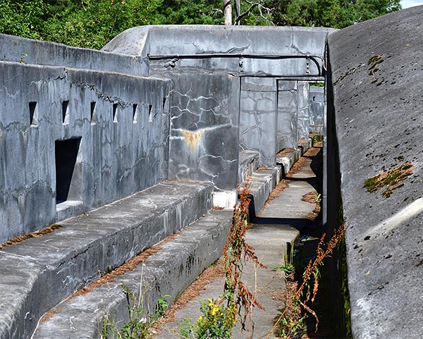 In the trenches ... - Fort Siarö