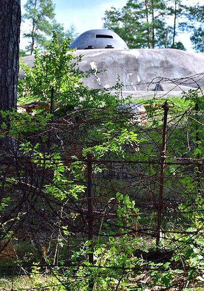 #8 - Barbed wire