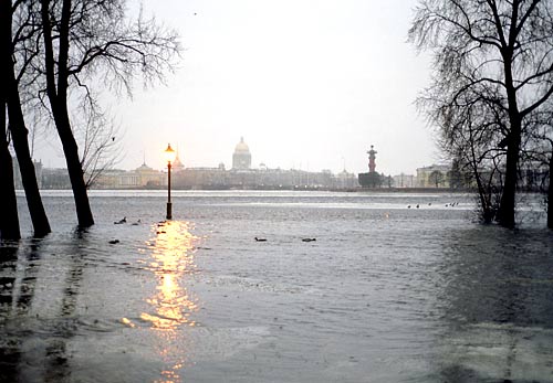 пережить наводнение 2024
