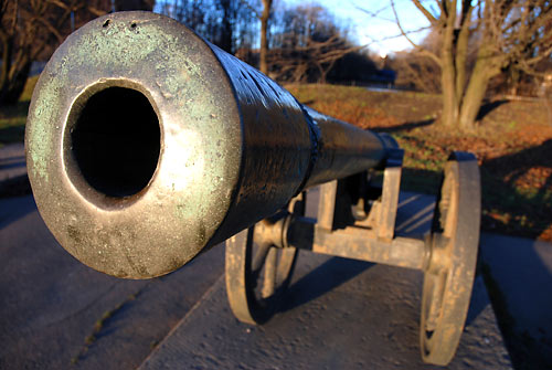 #6 - Muzzle