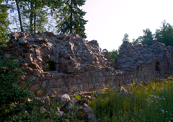 #2 - Rozen bastion
