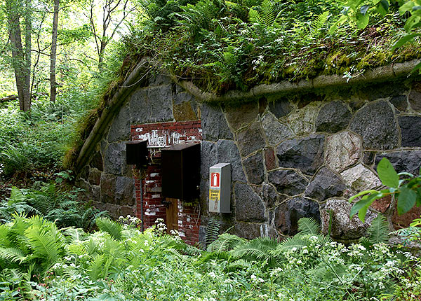 #27 - In the depth of Vallissaari island