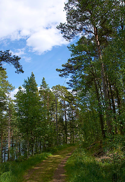 The road to the battery 5 - Sveaborg