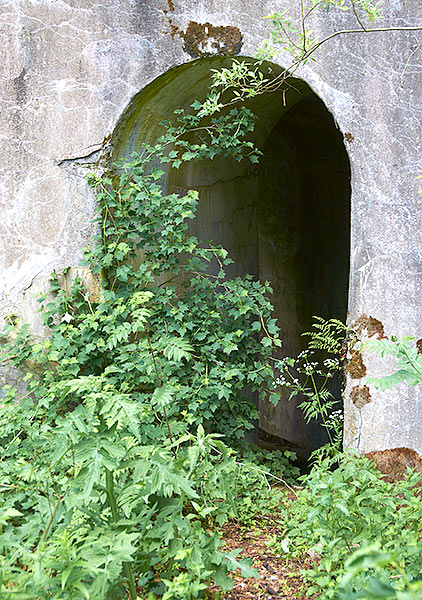 Vegetation - Sveaborg