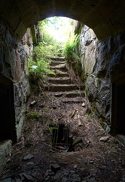 #11 - Vaults