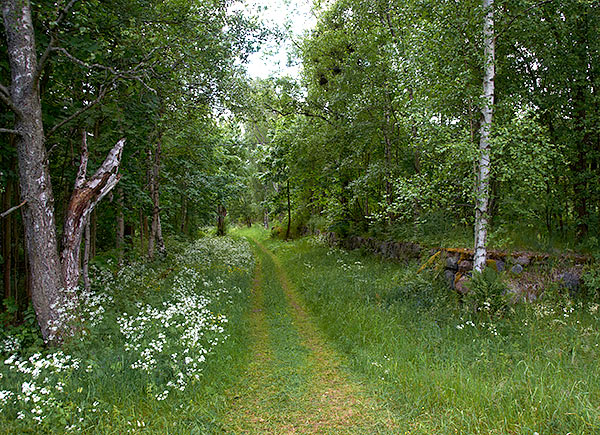 Former barracks town - Sveaborg