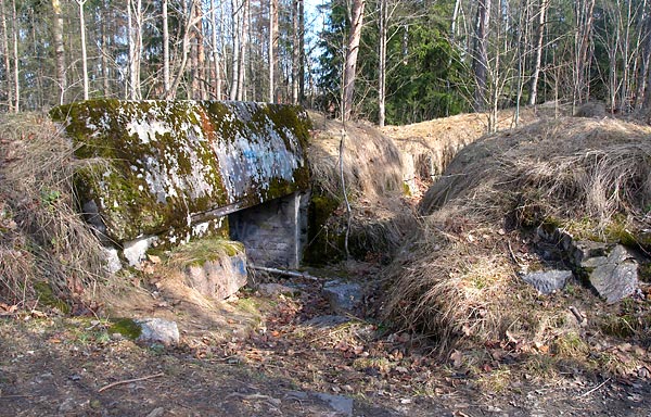 #9 - Fortifications near to Reimarla