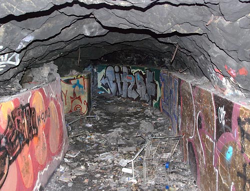 #33 - Tunnel shelter