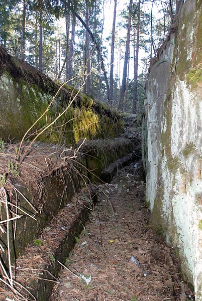 #37 - In the Great War trenches...