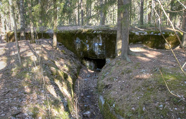 #45 - Bunker