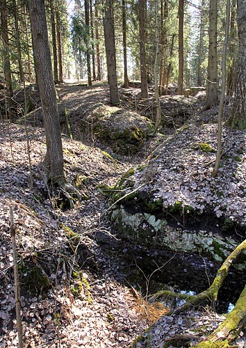 #41 - Earth fortifications