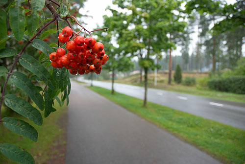 #9 - Nature