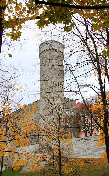 Long Herman tower - Tallinn