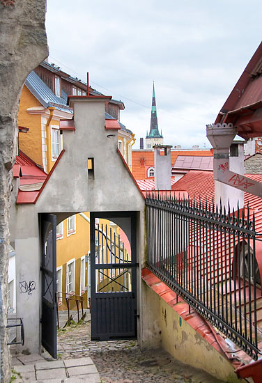 Luhike Jalg street or Short Leg - Tallinn