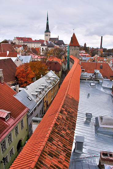 City sight - Tallinn