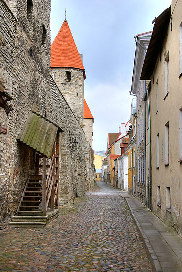 Laboratory street - Tallinn