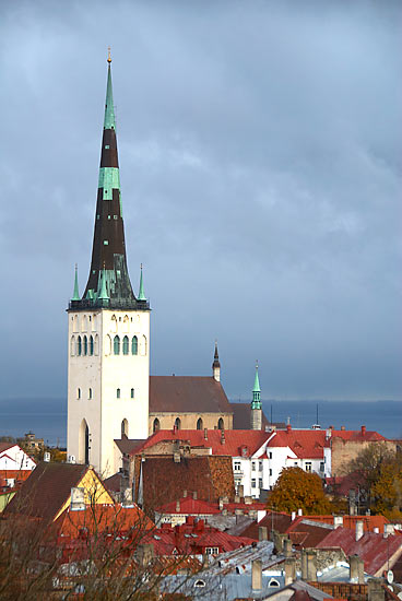 Oleviste Church sight - Tallinn