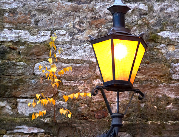 Vyshgorod still life - Tallinn