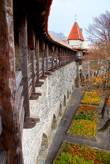 Wall walk at the Maiden's Tower - Tallinn