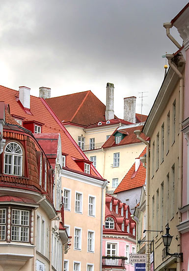 City rooftops in autumn - Tallinn