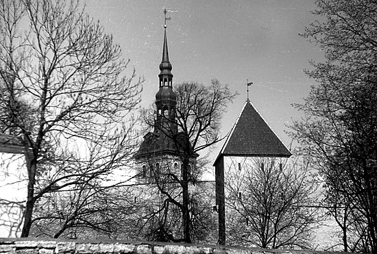 City wall and towers - Tallinn