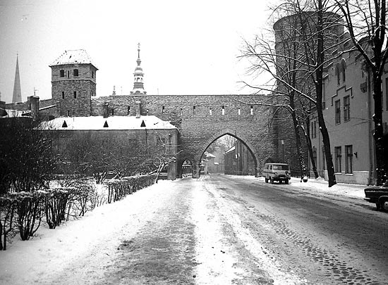 Suur-Kloostri Street - Tallinn