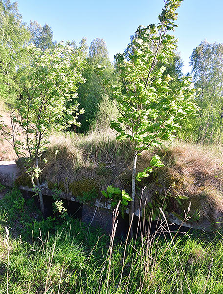 Ammunition niches - Trangsund