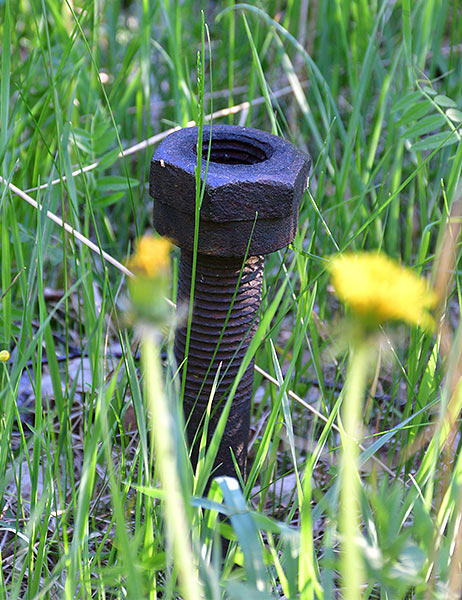 #35 - Screw