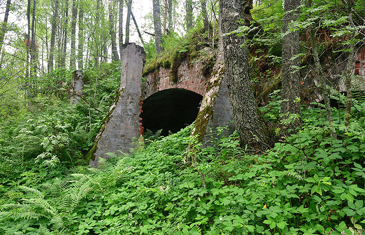 Vaults and buttresses - Trangsund