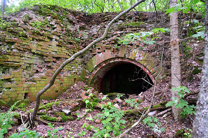 Ruins in the thicket of the forest - Trangsund