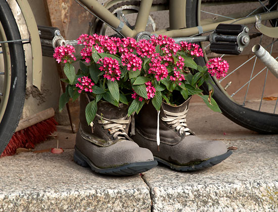 Still life of Vaxholm fortress - Vaxholm