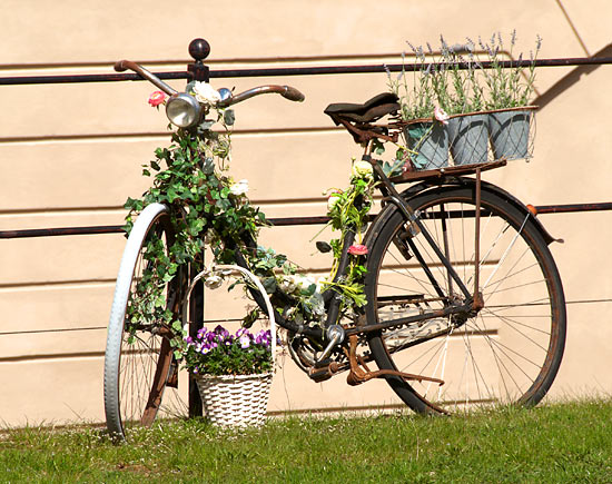 Ikebana of Vaxholm Fortress - Vaxholm