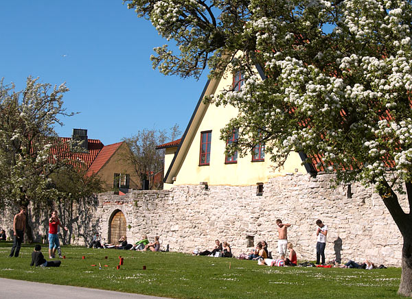 #16 - City wall near the port