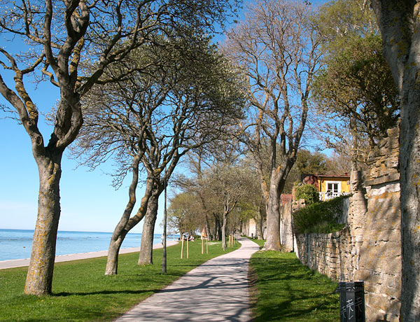 Marine facade of  Visby - Visby